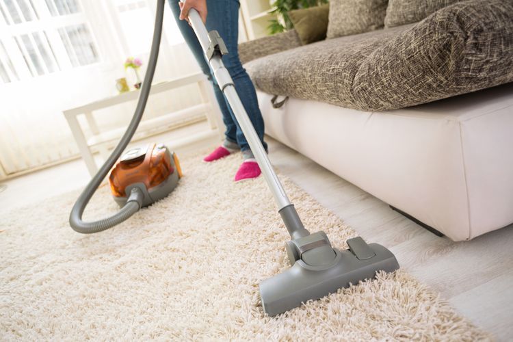 Ilustrasi membersihkan karpet, ilustrasi vacuum cleaner, Ilustrasi membersihkan bulu hewan peliharaan pada karpet. 
