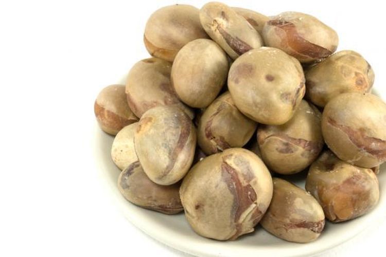 Biji Nangka  