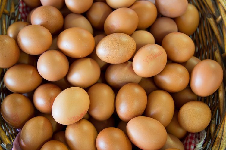 Ilustrasi telur unggas. (SHUTTERSTOCK/Dirk M. de Boer)  