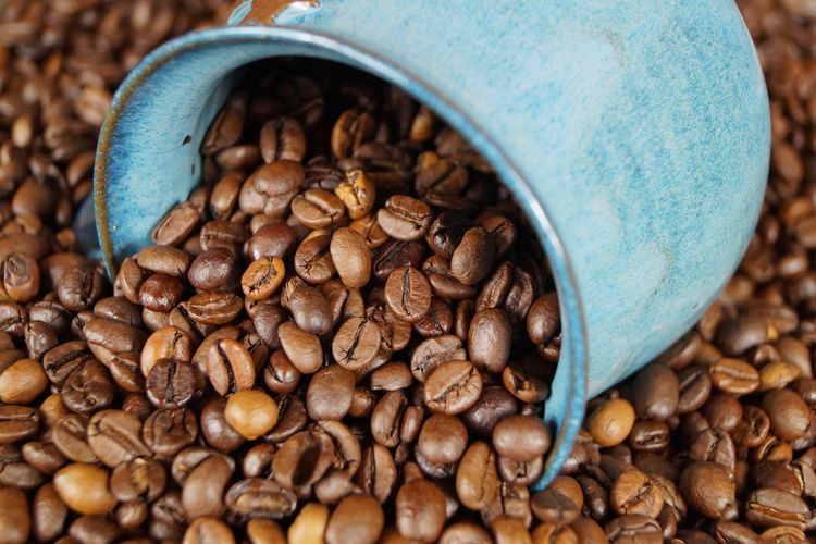 Biji kopi siap digiling