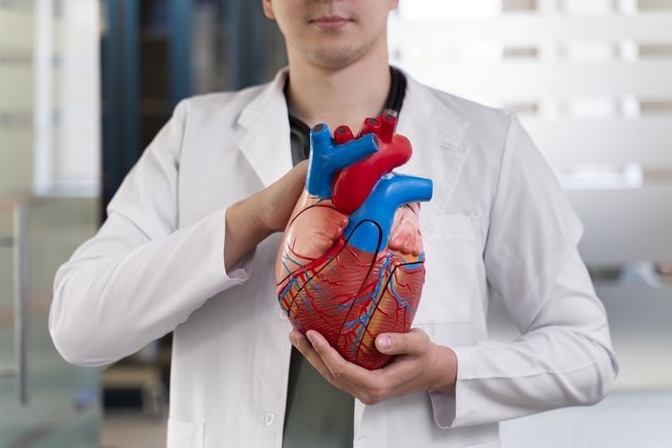 Rheumatic heart disease (RHD) atau familier disebut penyakit jantung rematik adalah komplikasi dari penyakit demam rematik yang dapat menyebabkan kerusakan katup pada organ jantung. Salah satu prosedur penanganannya yakni bedah mitral valve replacement. (Dok. Freepik)  