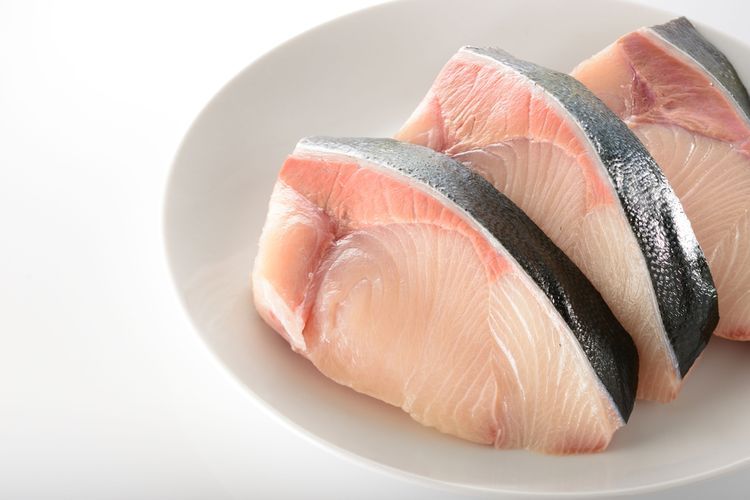 Ilustrasi ikan yellowtail atau ikan ekor kuning.