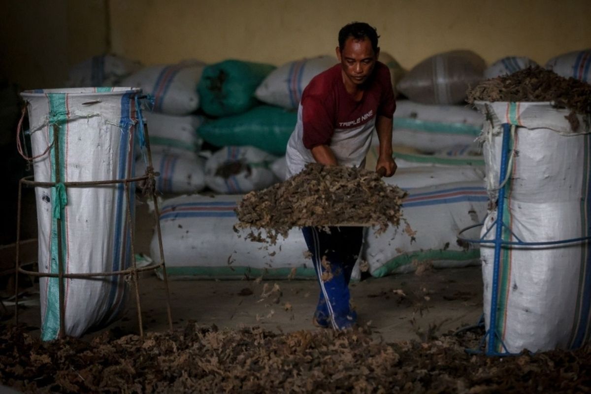 Koperasi Rumput Laut Serikat Pekerja Merdeka Indonesia (Kospermindo) melakukan ekspor dengan mengirim lebih dari 7.000 ton ke China setiap bulan.