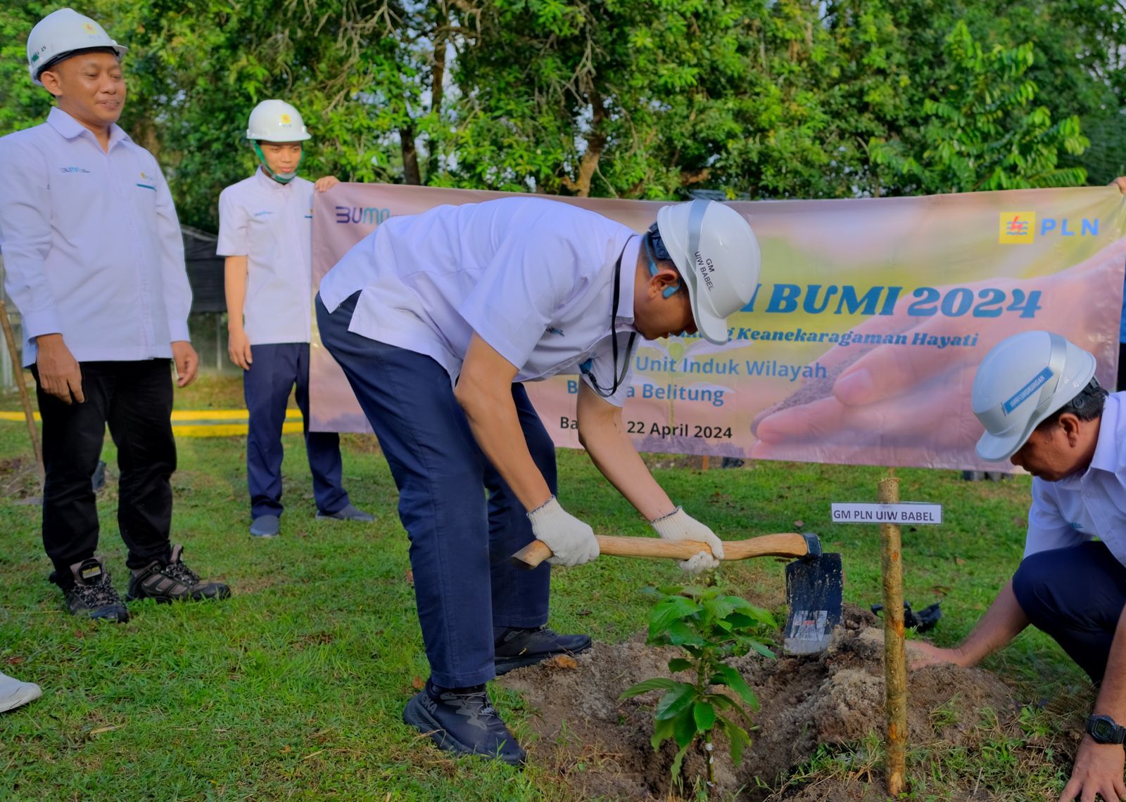 Pertanian Berkelanjutan: Menjaga Bumi, Memberi Makan Generasi Mendatang