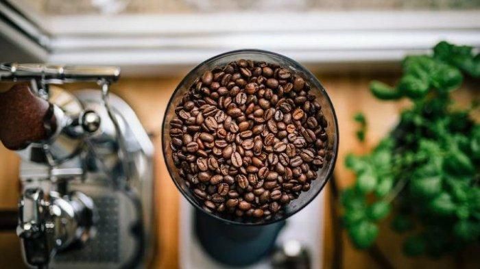 Ilustrasi kopi