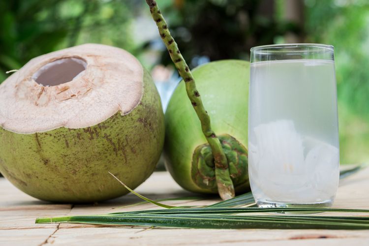 Apa Saja Untuk Manfaat Rutin Minum Air Kelapa Muda Setiap Hari ...