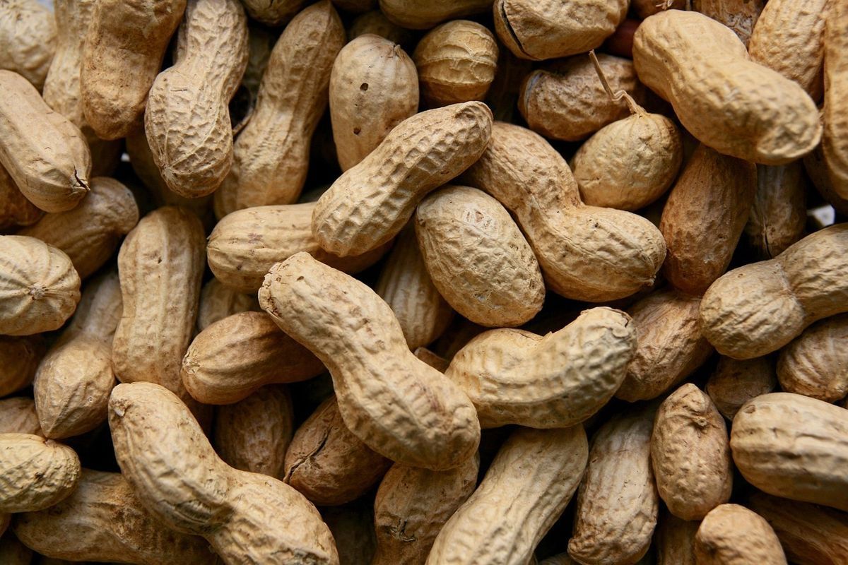 Manfaat kacang tanah, bisa mengurangi lemak perut(PIXABAY/ANNETTE MEYER)  