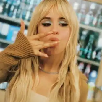 Lirik Lagu 'I LUV IT' – Camila Cabello feat. Playboi Carti, dengan Terjemahannya