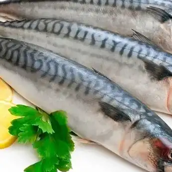 Menyehatkan Tubuh, Tapi 5 Ikan Ini Justru Sangat Berbahaya Salah Satunya Ikan Nila