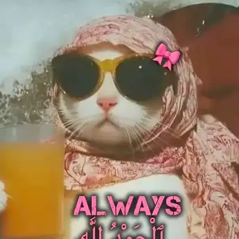 20 PP Kucing Ramadhan 2025 Berhijab, Imut dan Menggemaskan