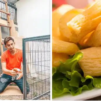 Viral, Selebgram Niko Al Hakim Beli Singkong Goreng Seharga Rp 187K
