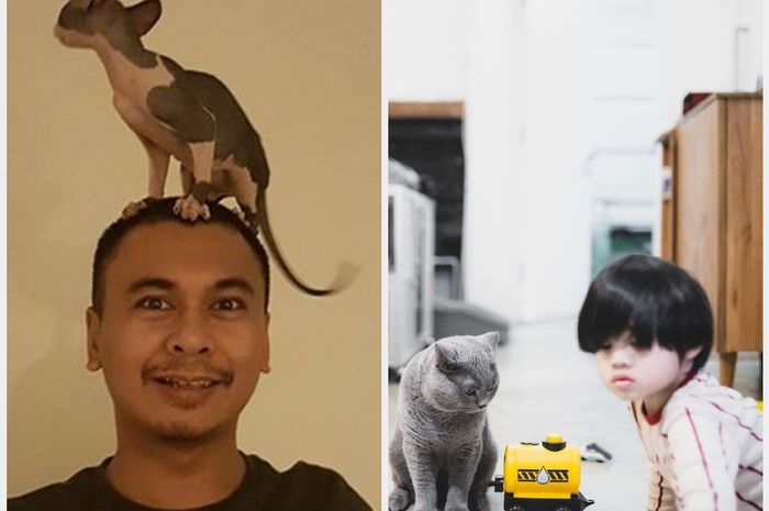 5 Artis yang Pelihara Kucing  Mahal Milik Rachel  Vennya  