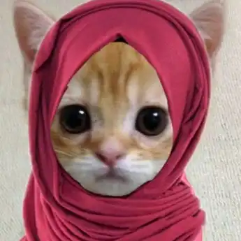 15 PP Kucing Ramadhan Perempuan Berhijab yang Imut, Unduh Gratis