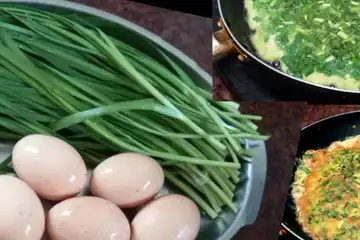 Illustrasui Telur Dadar/ Omelet daun kucai