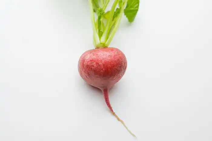 8 Manfaat Buah Bit, Ternyata Bagus untuk Otak hingga Jantung - Semua ...