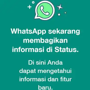 Bikin Kaget di Pagi Hari, WhatsApp Muncul di Status Pengguna, Ada Apa?