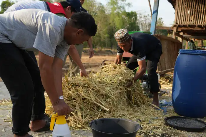 Lestarikan Rusa Timor, Kelompok Mammetang Dilatih Membuat Pakan Silase ...
