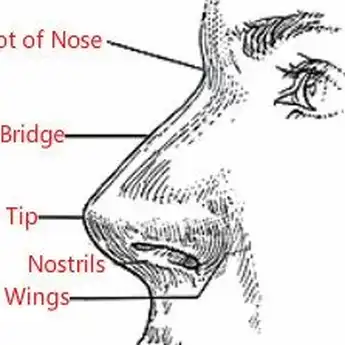 Melihat Keberuntungan dari Bentuk Hidung, Terlalu Mancung Malah Gak Bagus!