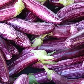 Pemilik Golongan Darah O Dianjurkan Tak Makan Terong, Kenapa?