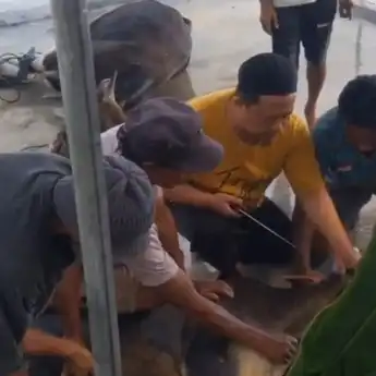 Momen Idul Adha 1446 H, BRI Berbagi Berkah ke Sejumlah Titik di Wilayah Gorontalo