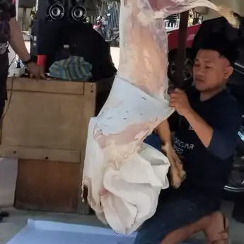 BRI BO Ampana Salurkan Bantuan Hewan Kurban 1 Ekor Kambing kepada Masyarakat Kurang Mampu