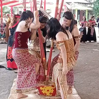 Antusias Generasi Muda Meningkat, Lomba Menumbuk Padi di Gawai Dayak Jadi Sorotan Pelestarian Budaya