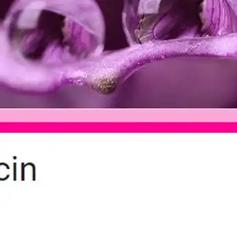 Viral TikTok! Ini Link Ujian Bucin di Docs Google Form Serta Cara Ikut Trendnya, Yuk Coba!