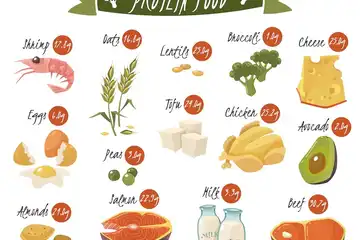 Illustrasi Makanan tinggi protein