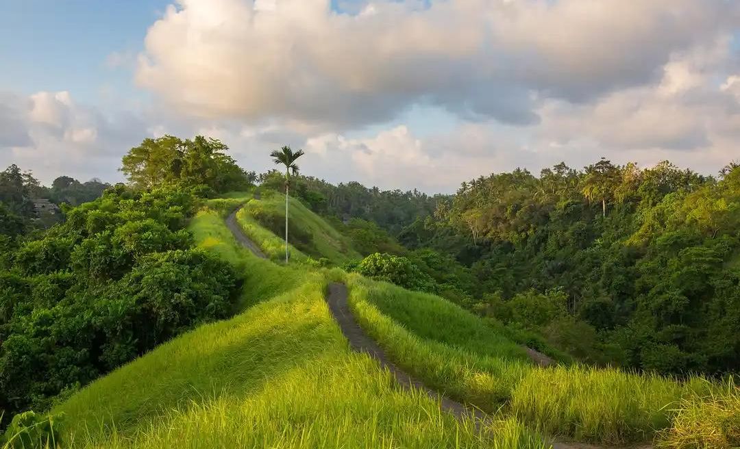 Bukit Campuhan, Bali