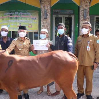 Peringati Idul Adha 1442 H, Pemkab Bangka Qurban 52 Ekor Sapi