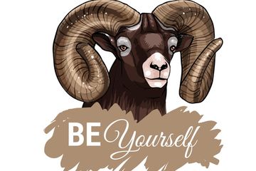 Sifat Dan Karakter Shio Kambing Lembut Di Luar Tangguh Di Dalam Sonora Id