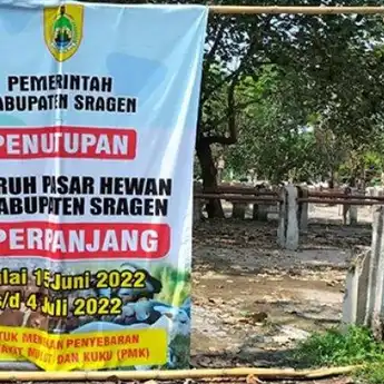 Kasus 1.000 Ekor Ternak Terjangkit PMK, Pemkab Sragen Tutup Pasar Hewan