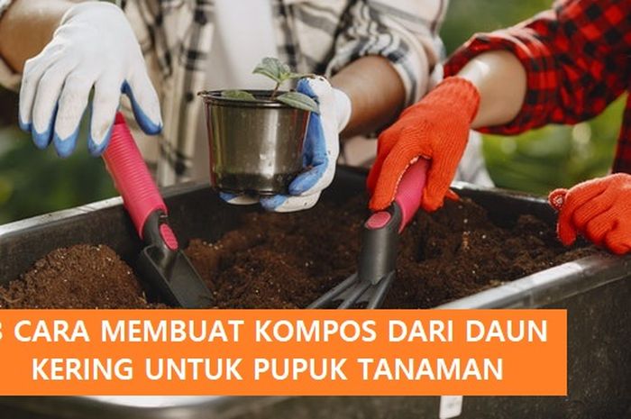 3 Cara Membuat Kompos Dari Daun Kering Untuk Pupuk Tanaman - Sonora.id