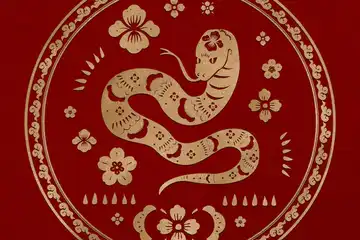 Ilustrasi shio Ular.