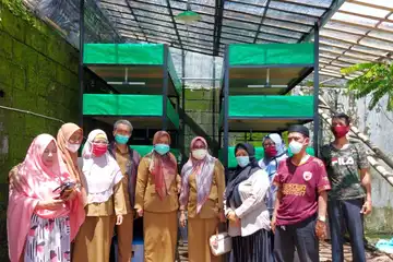 Budidaya Cacing Sutera di Makassar