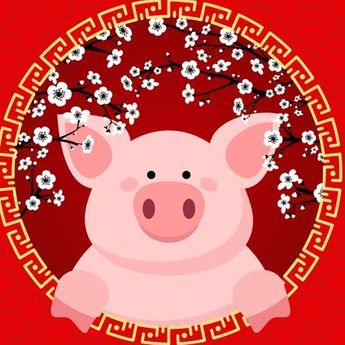 Ramalan Tahun Macan Air, Pakar Fengshui: Ini Kiat Sukses Shio Babi Bebas dari Ciong!