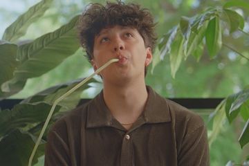 Lirik Lagu 'Honey' - Boy Pablo, Lengkap dengan Terjemahan ...