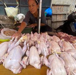 Imbas Kenaikan BBM, Harga Ayam di Banjarmasin Tak Terbendung