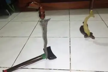 Keris yang dapat berdiri