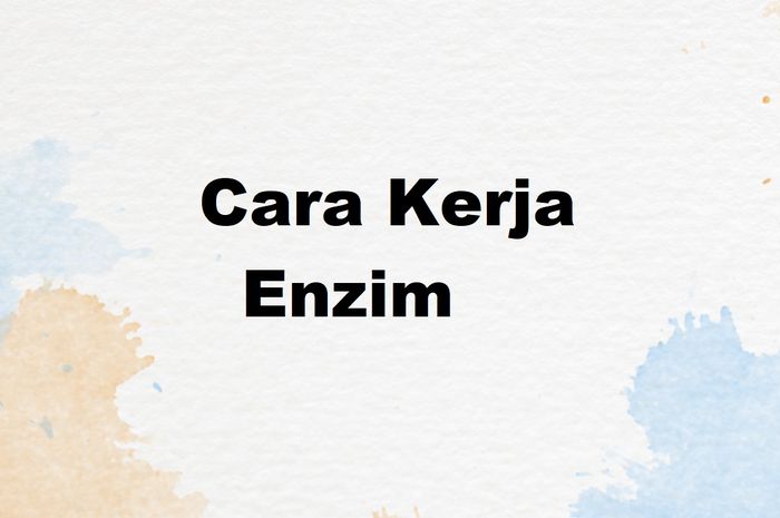 2 Cara Kerja Enzim dalam Teori Locky and Key dan Induced Fit - Sonora.id