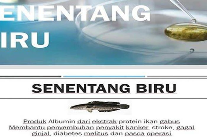 Ilustrasi: Sintang Akan Bangun Tempat Produksi Pengolahan Ikan Gabus Penghasil Albumin