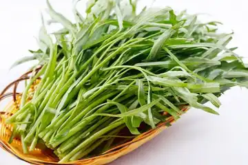 Ilustrasi kangkung