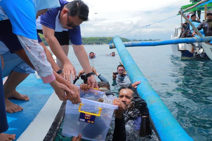 Sekdaprov Adhy saat memberikan kontainer terumbu kepada tim penyelam untuk ditanamkan dalam laut wilayah pantai Pasir Putih Situbondo, Sabtu (12/11/2022)