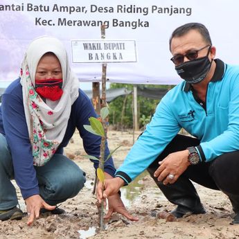 Pesisir Pantai Batu Ampar Dicanangkan Menjadi Ekowisata Mangrove