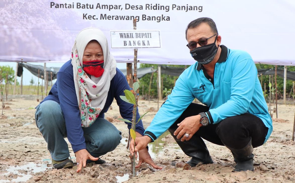  Pesisir Pantai Batu Ampar Kecamatan Merawang dicanangkan menjadi area Ekowisata Mangrove, Minggu (27/09/2020)