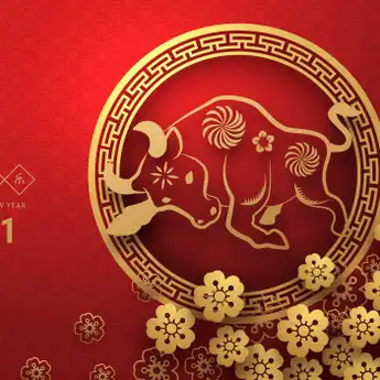 5 Shio yang Bakal Mendadak Hoki di Tahun Kerbau Logam 2021, Ada Shio Anda?