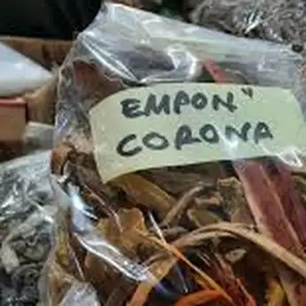 Benarkan Empon-empon Mampu Menangkal Virus Corona, Simak Faktanya