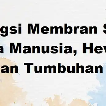 12 Fungsi Membran Sel pada Manusia, Hewan dan Tumbuhan