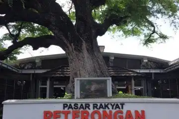 Pohon asam di pasar Peterongan Semarang