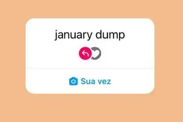 Arti January Dump